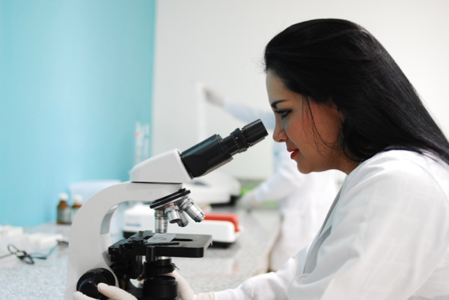 summer research programs